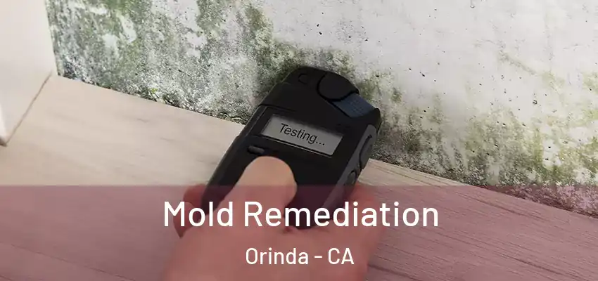  Mold Remediation Orinda - CA
