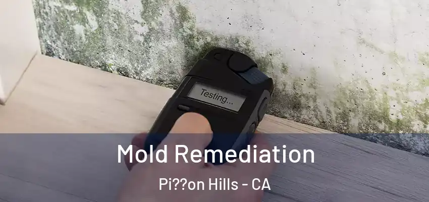  Mold Remediation Pi??on Hills - CA