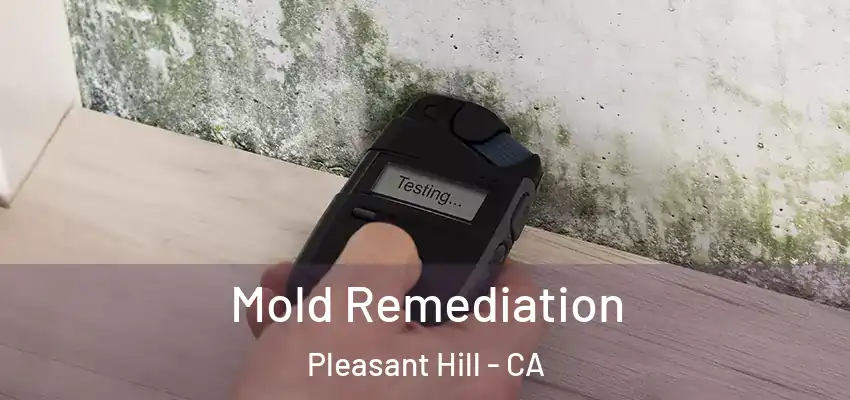  Mold Remediation Pleasant Hill - CA