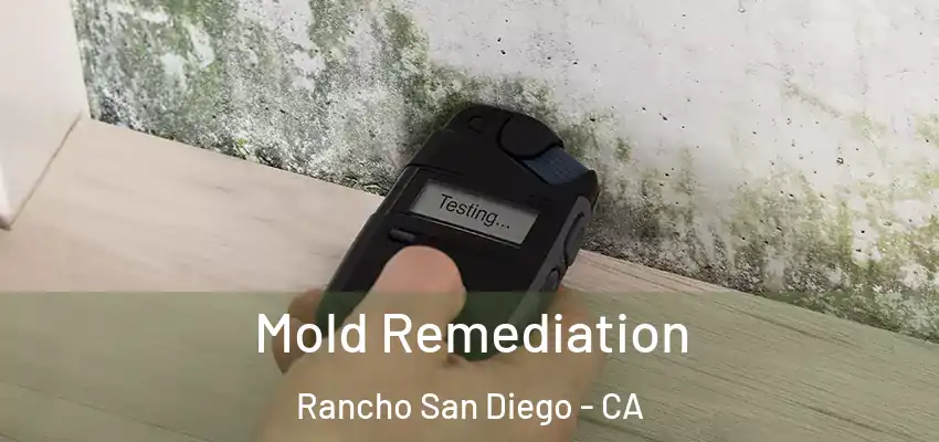  Mold Remediation Rancho San Diego - CA