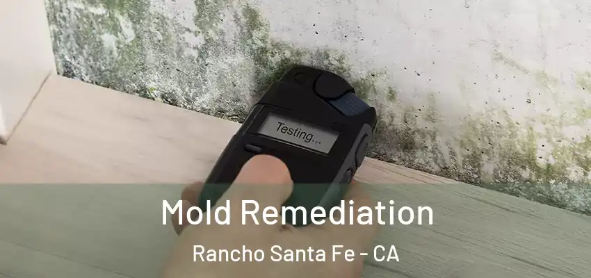  Mold Remediation Rancho Santa Fe - CA