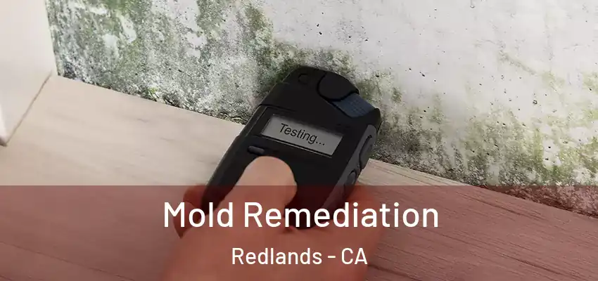  Mold Remediation Redlands - CA