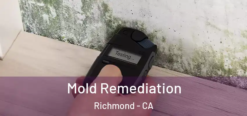  Mold Remediation Richmond - CA
