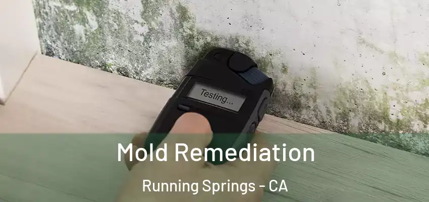  Mold Remediation Running Springs - CA