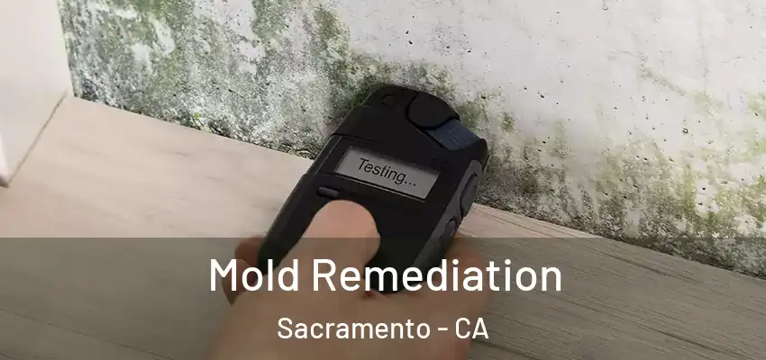  Mold Remediation Sacramento - CA