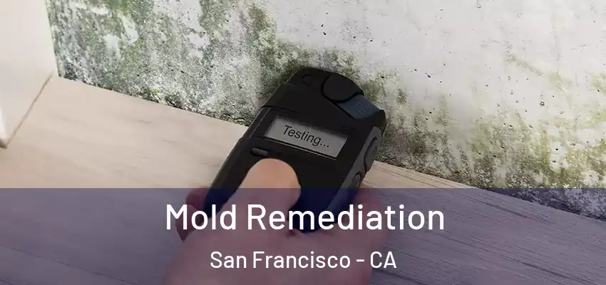  Mold Remediation San Francisco - CA