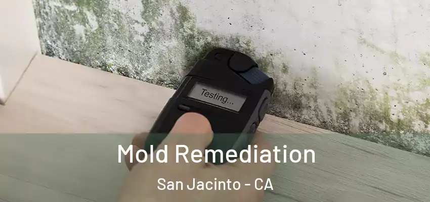  Mold Remediation San Jacinto - CA