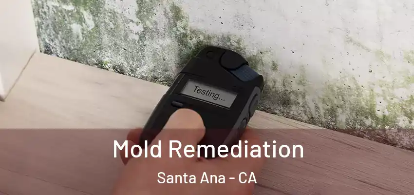  Mold Remediation Santa Ana - CA