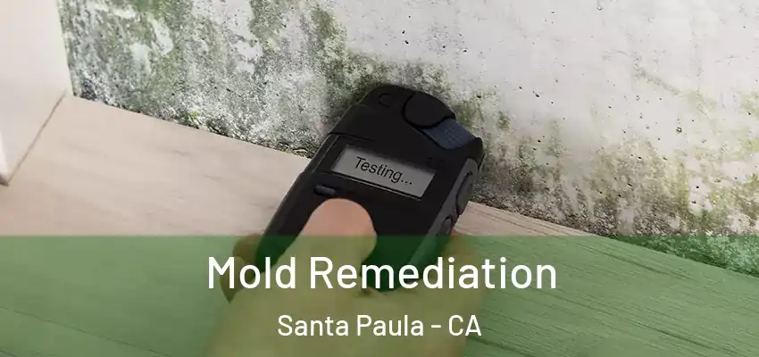  Mold Remediation Santa Paula - CA