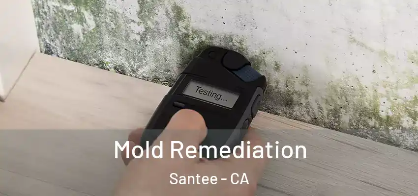  Mold Remediation Santee - CA
