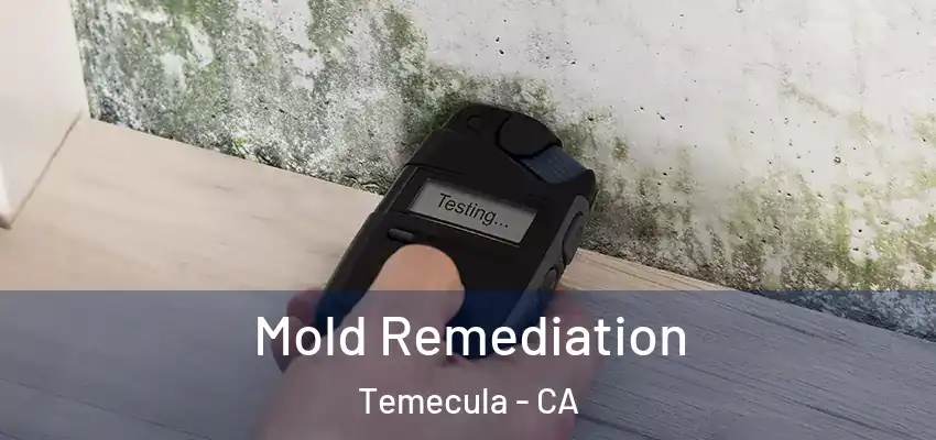  Mold Remediation Temecula - CA