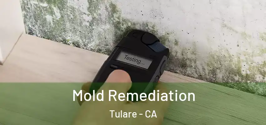  Mold Remediation Tulare - CA
