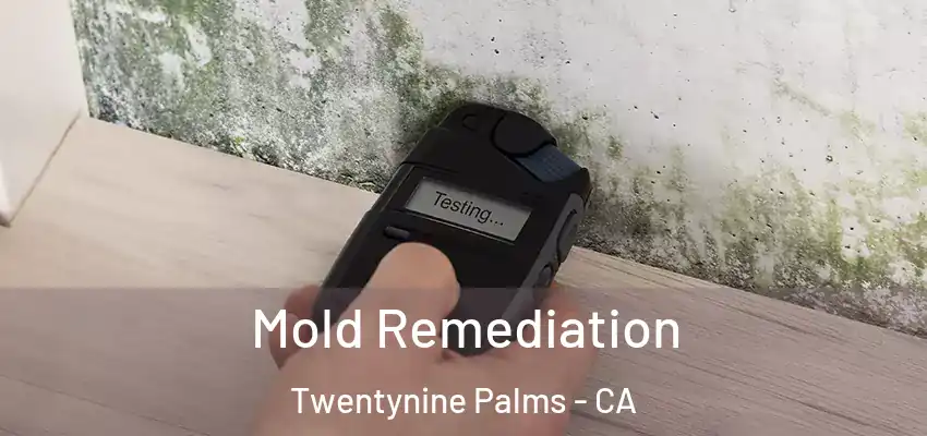  Mold Remediation Twentynine Palms - CA