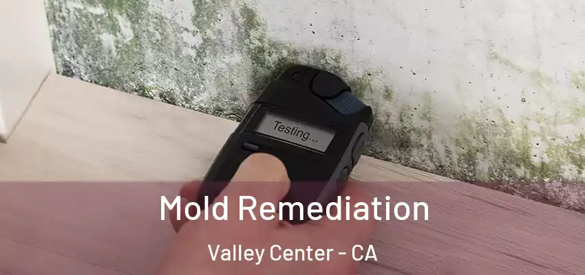  Mold Remediation Valley Center - CA