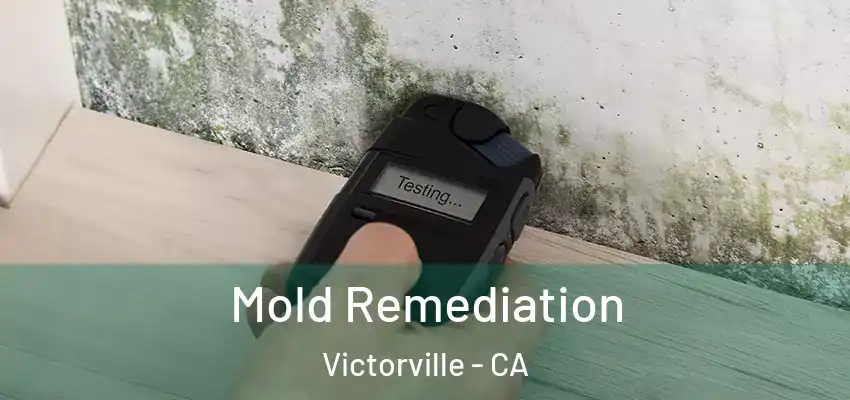  Mold Remediation Victorville - CA
