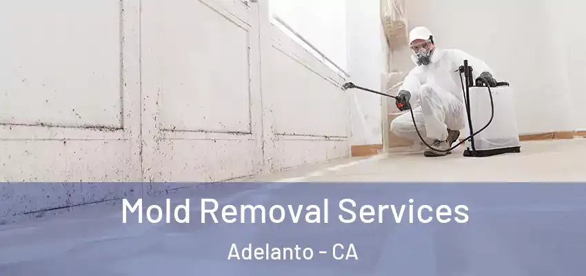  Mold Removal Services Adelanto - CA