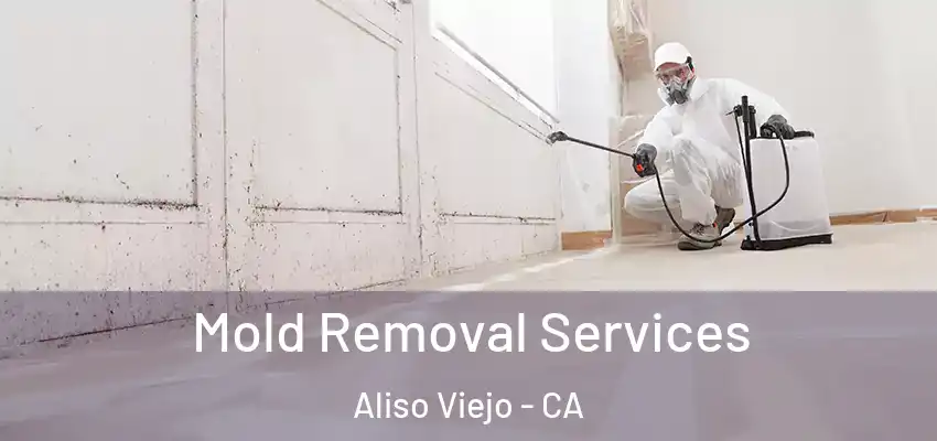  Mold Removal Services Aliso Viejo - CA