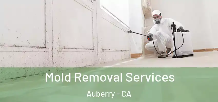  Mold Removal Services Auberry - CA