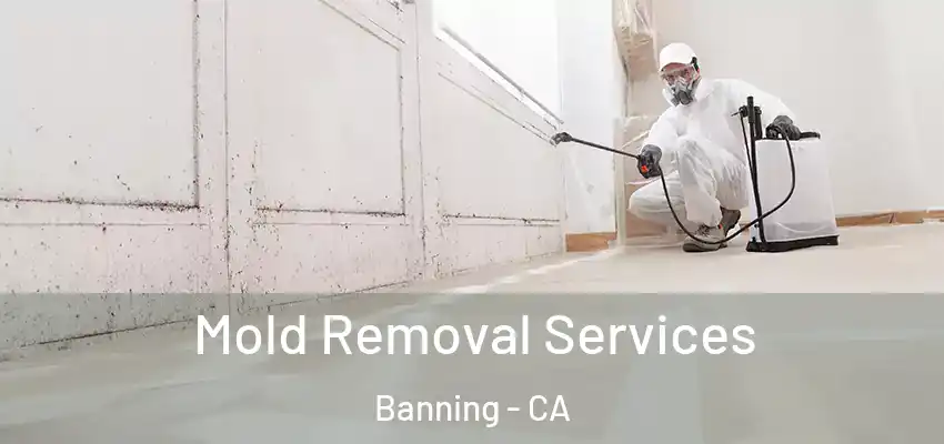  Mold Removal Services Banning - CA