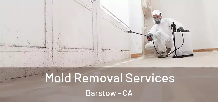  Mold Removal Services Barstow - CA