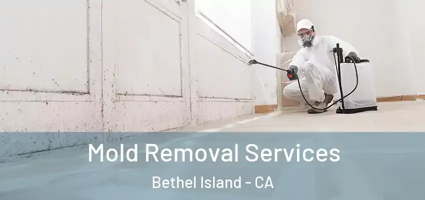  Mold Removal Services Bethel Island - CA