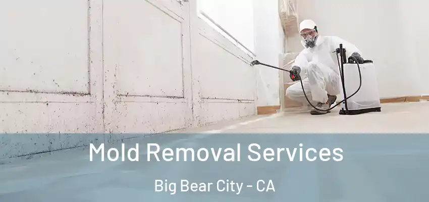  Mold Removal Services Big Bear City - CA