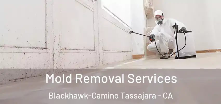  Mold Removal Services Blackhawk-Camino Tassajara - CA