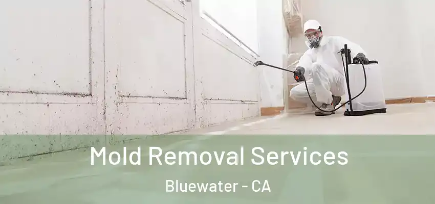  Mold Removal Services Bluewater - CA