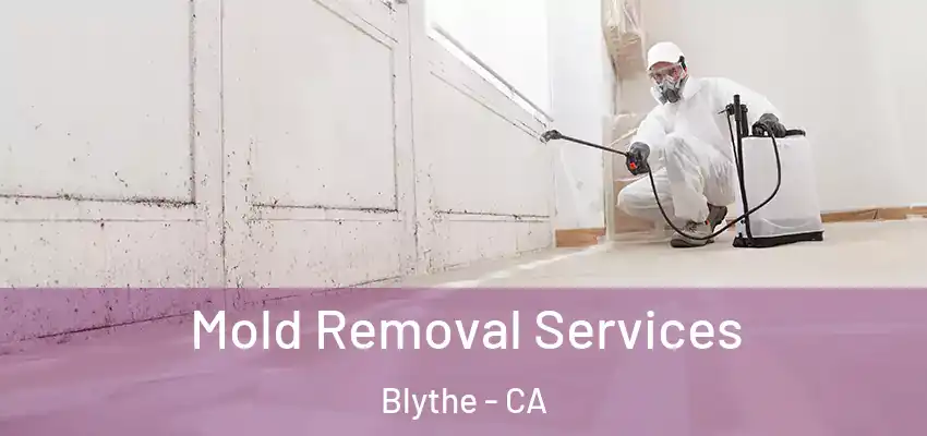  Mold Removal Services Blythe - CA