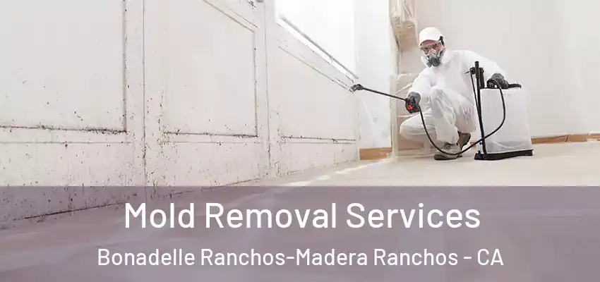  Mold Removal Services Bonadelle Ranchos-Madera Ranchos - CA
