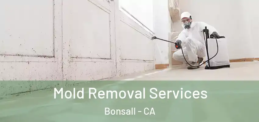  Mold Removal Services Bonsall - CA