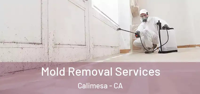  Mold Removal Services Calimesa - CA