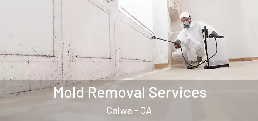  Mold Removal Services Calwa - CA