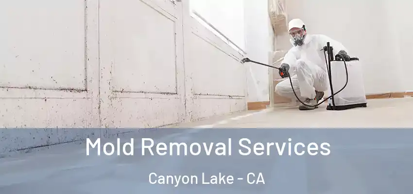  Mold Removal Services Canyon Lake - CA