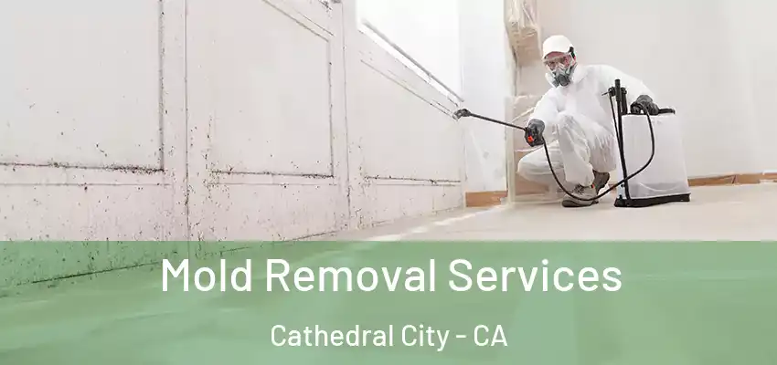  Mold Removal Services Cathedral City - CA