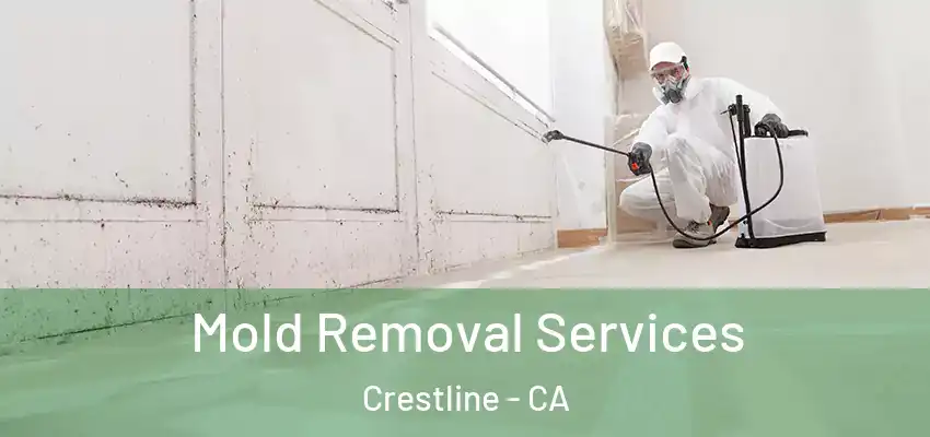  Mold Removal Services Crestline - CA