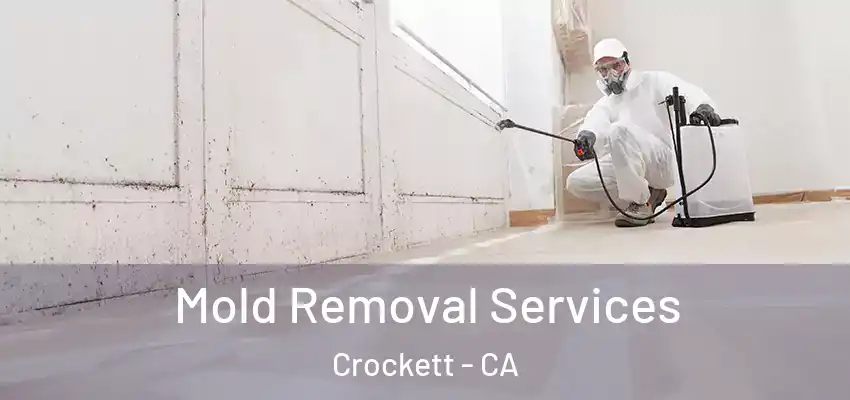  Mold Removal Services Crockett - CA