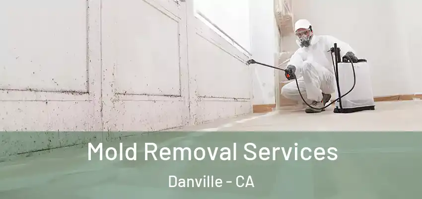  Mold Removal Services Danville - CA