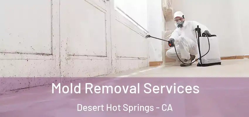  Mold Removal Services Desert Hot Springs - CA