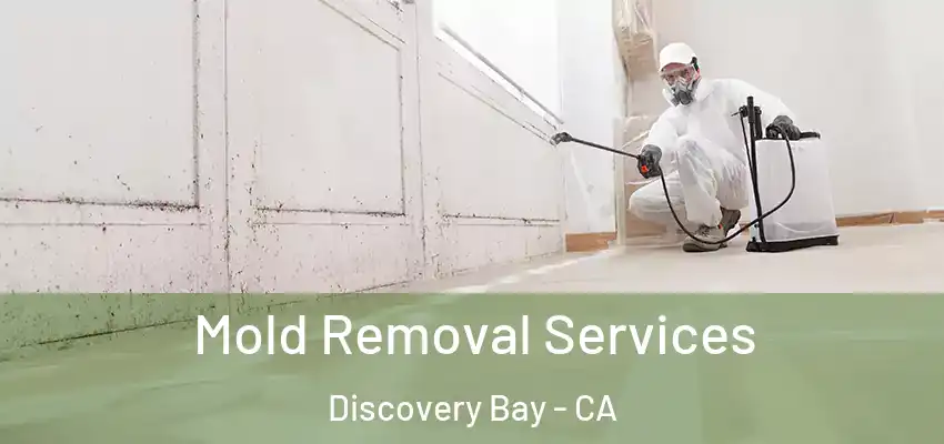  Mold Removal Services Discovery Bay - CA