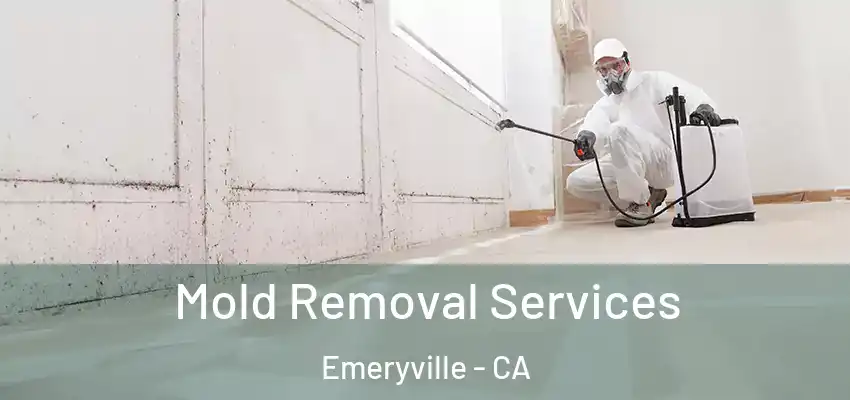  Mold Removal Services Emeryville - CA