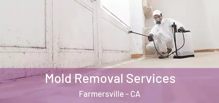  Mold Removal Services Farmersville - CA