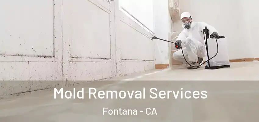  Mold Removal Services Fontana - CA