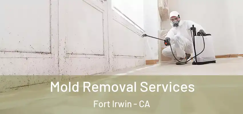  Mold Removal Services Fort Irwin - CA