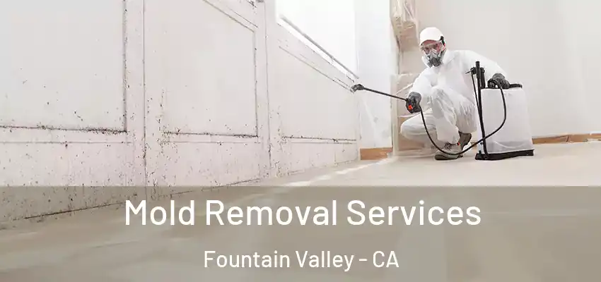  Mold Removal Services Fountain Valley - CA