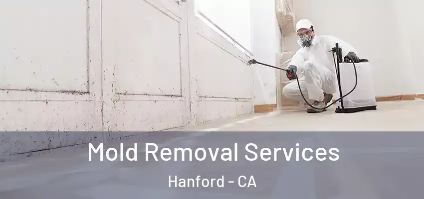  Mold Removal Services Hanford - CA
