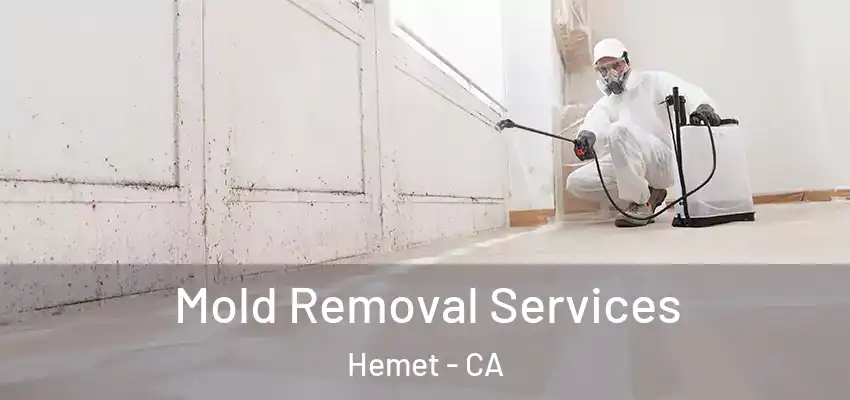  Mold Removal Services Hemet - CA