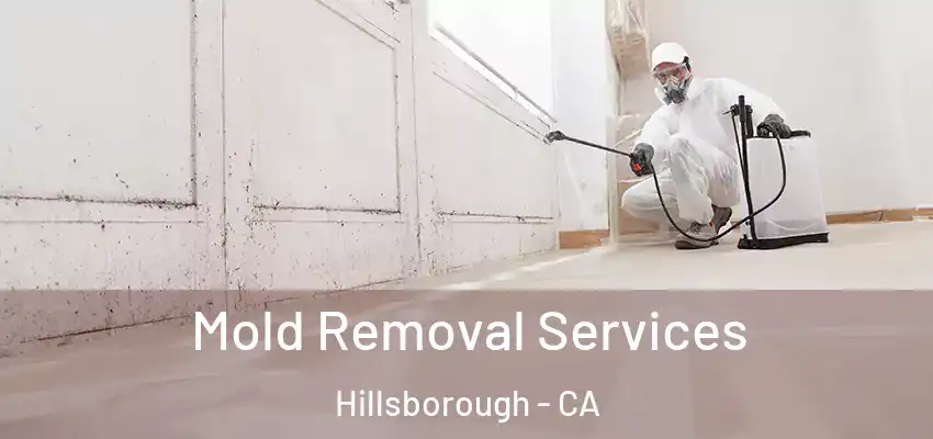  Mold Removal Services Hillsborough - CA