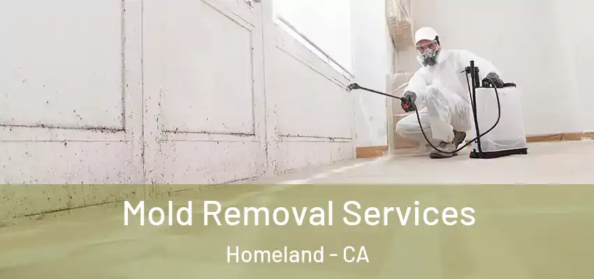  Mold Removal Services Homeland - CA