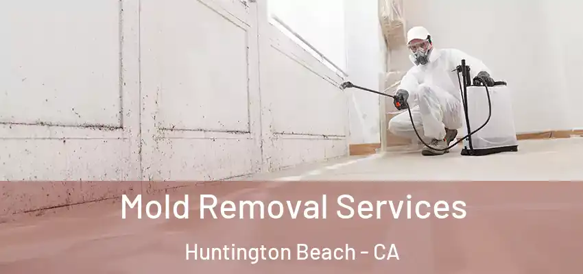  Mold Removal Services Huntington Beach - CA